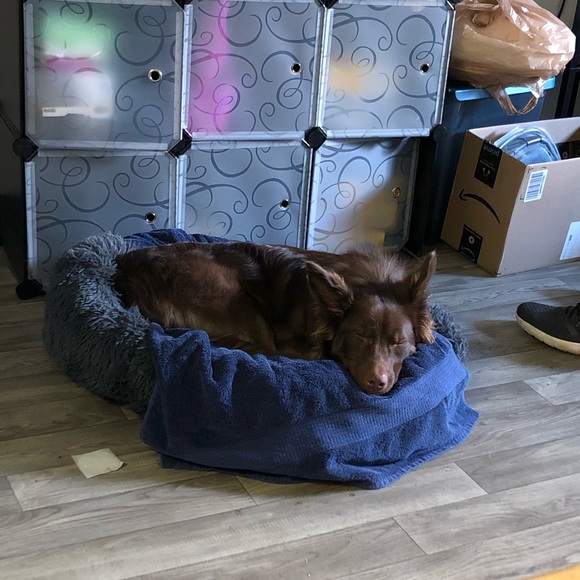 Meet your Posher, Lynnette - Picture 2 of 2